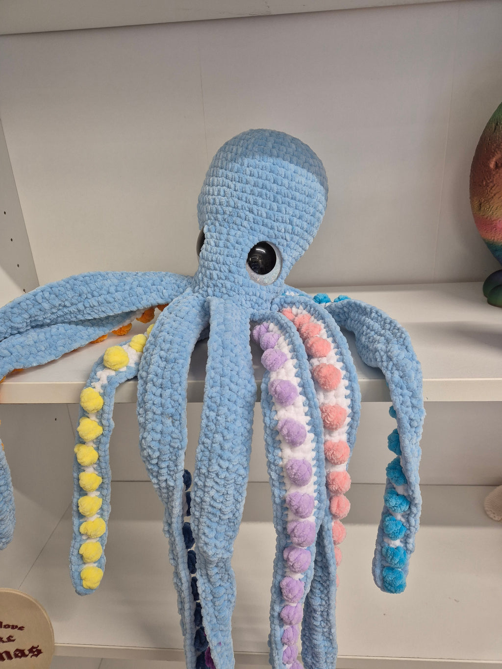 Large  Blue Rainbow Octopus